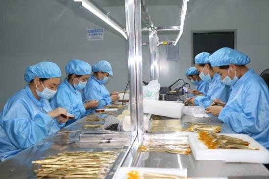 建設(shè)50億級產(chǎn)業(yè)集群 郟縣傾力打造中部地區(qū)知名醫(yī)用耗材產(chǎn)銷地