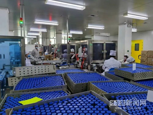 保供抗疫藥品，哈藥復工防護用品生產迎挑戰